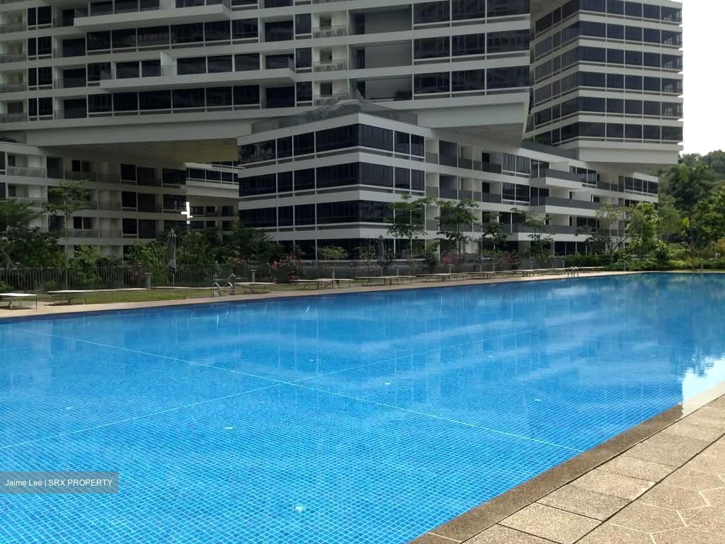 The Interlace (D4), Condominium #563332001